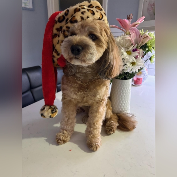 I Consider Offers🌻 - Picture 8 of 14